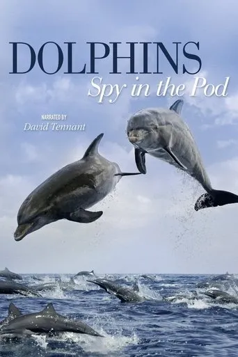 Póster de la serie Dolphins: Spy in the Pod
