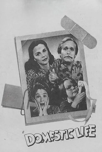 Póster de la serie Domestic Life