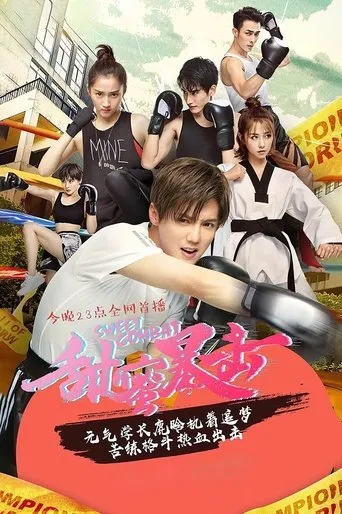 Póster de la serie Dulce Combate