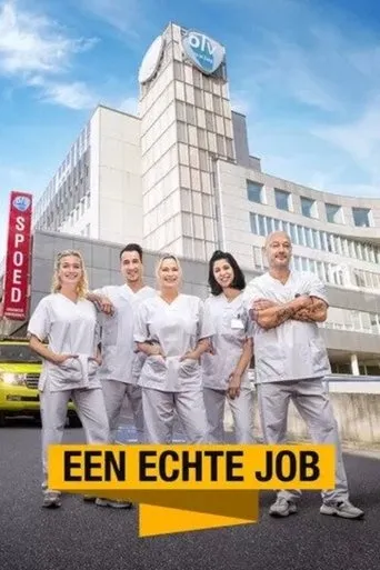 Póster de la serie Een Echte Job