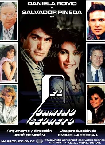 Póster de la serie El camino secreto