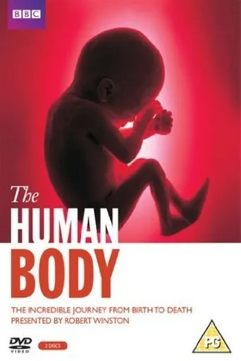 Póster de la serie El Cuerpo Humano
