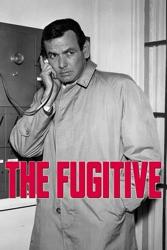 Póster de la serie El fugitivo