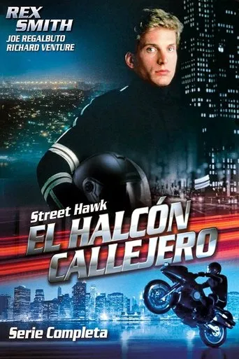 Póster de la serie El halcón callejero
