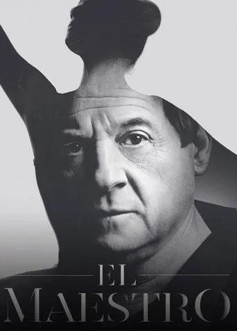 Póster de la serie El maestro