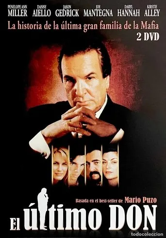 Póster de la serie El último Don