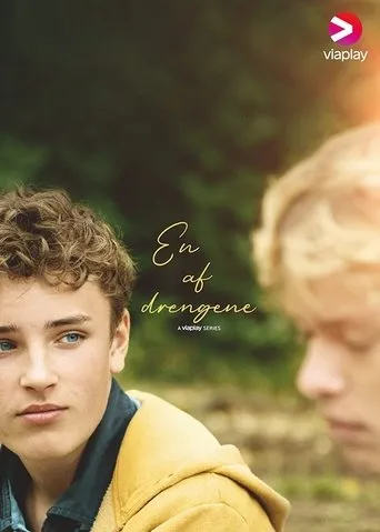 Póster de la serie En af drengene