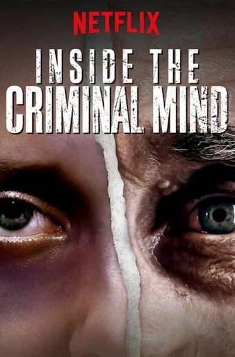 Póster de la serie En la mente criminal