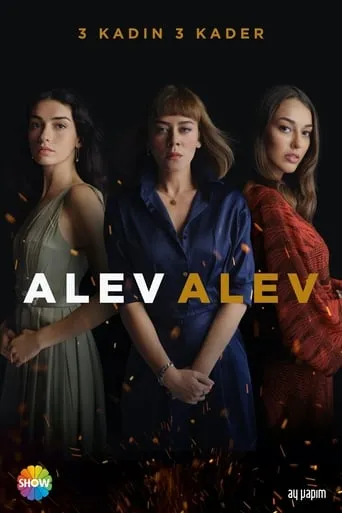 Póster de la serie En llamas