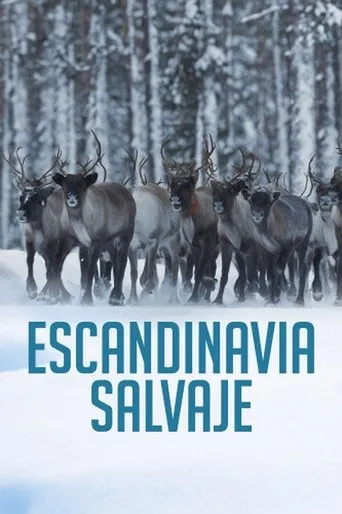 Póster de la serie Escandinavia salvaje
