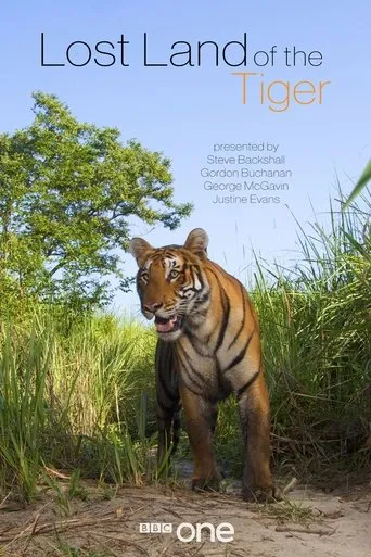 Póster de la serie Expedición tigre