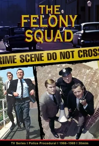 Póster de la serie Felony Squad