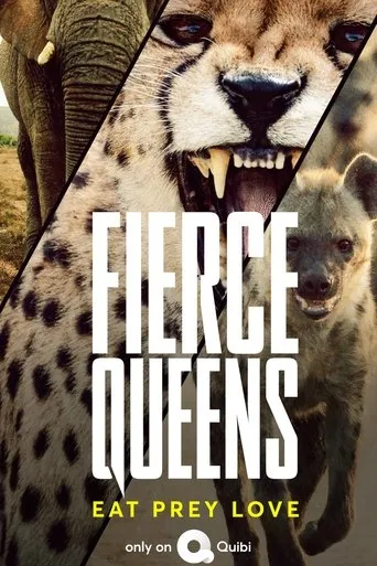 Póster de la serie Fierce Queens