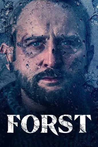 Póster de la serie Forst
