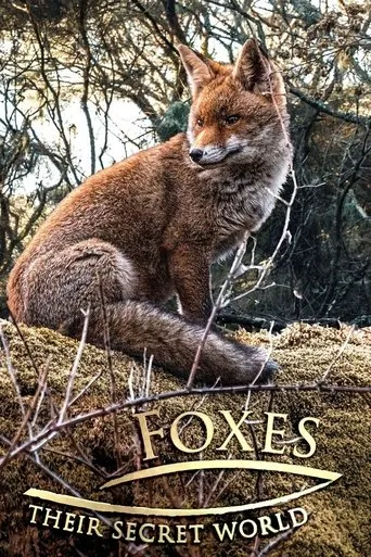 Póster de la serie Foxes: Their Secret World