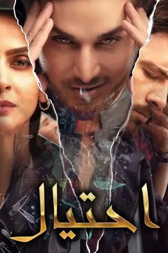 Póster de la serie Fraud
