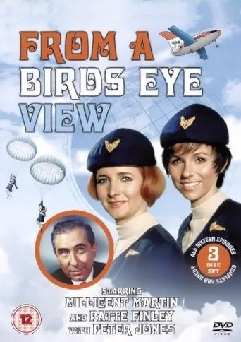 Póster de la serie From a Bird's Eye View