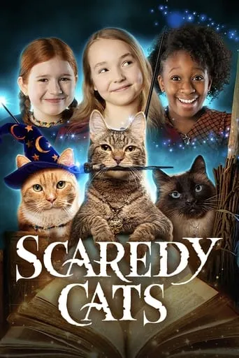 Póster de la serie Gatas miedicas