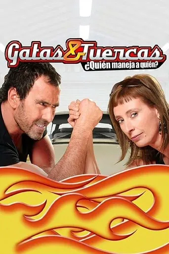 Póster de la serie Gatas y Tuercas