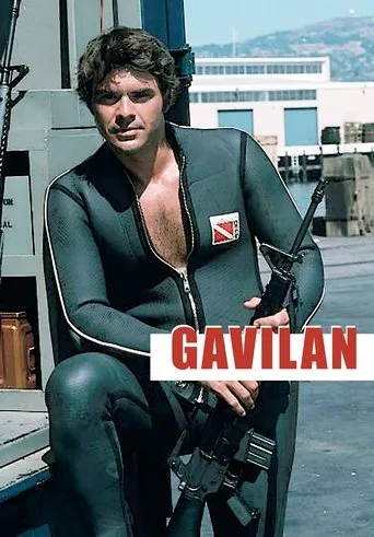 Póster de la serie Gavilan