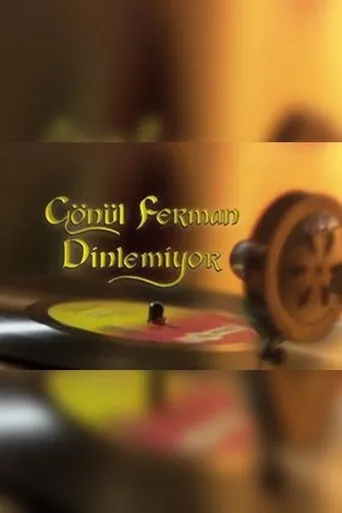 Póster de la serie Gönül Ferman Dinlemiyor