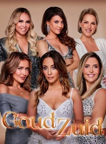 Póster de la serie Goud Zuid