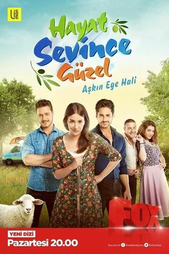 Póster de la serie Hayat Sevince Güzel