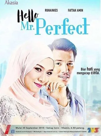 Póster de la serie Hello, Mr. Perfect!