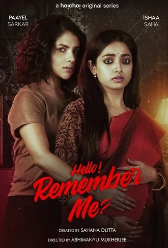 Póster de la serie Hello Remember Me