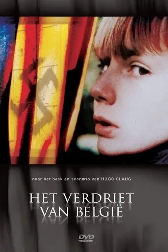Póster de la serie Het verdriet van België