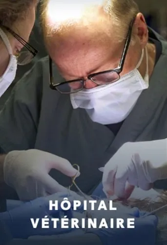 Póster de la serie Hôpital vétérinaire