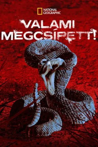 Póster de la serie I Was Bitten