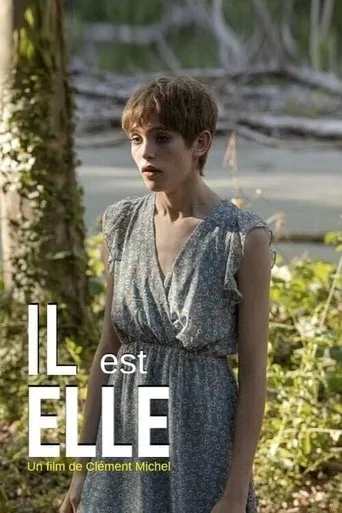 Póster de la serie Il est elle