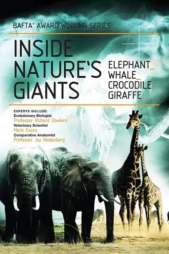 Póster de la serie Inside Nature's Giants