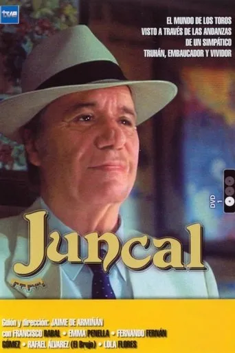 Póster de la serie Juncal