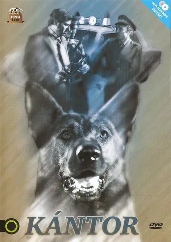 Póster de la serie Kántor