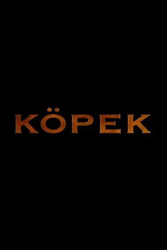 Póster de la serie Köpek