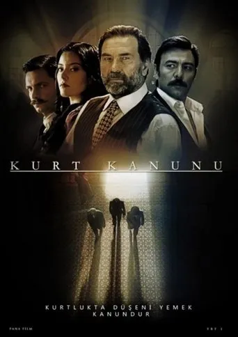 Póster de la serie Kurt Kanunu