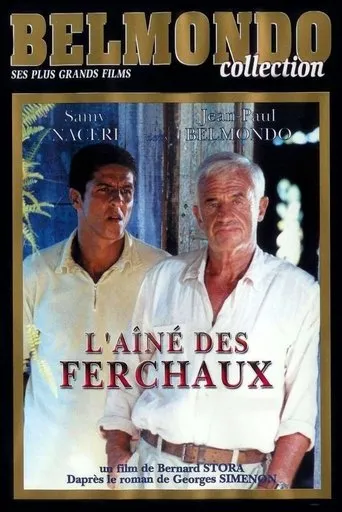Póster de la serie L'Aîné des Ferchaux