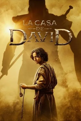 Póster de la serie La casa de David
