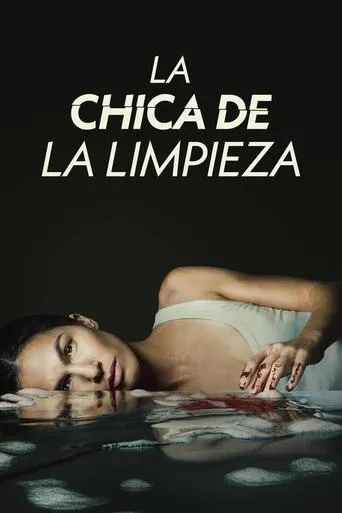 Póster de la serie La chica de la limpieza