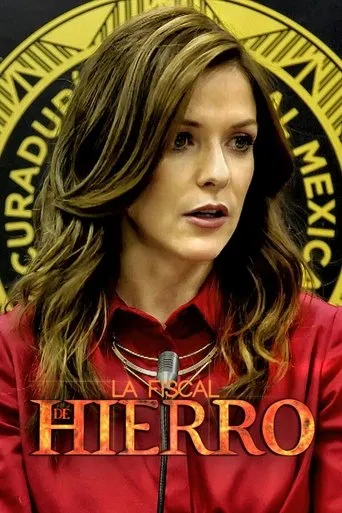 Póster de la serie La fiscal de hierro