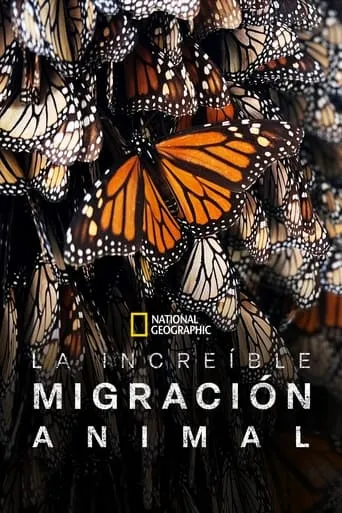 Póster de la serie La increíble migración animal