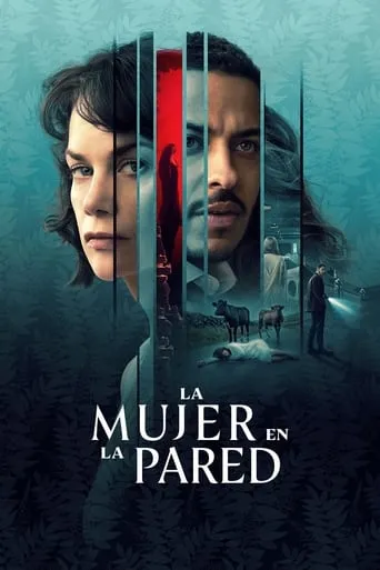 Póster de la serie La mujer en la pared