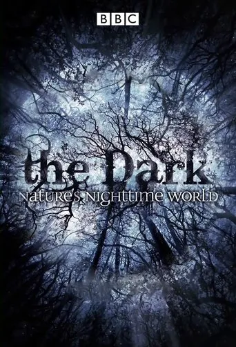 Póster de la serie La oscuridad: el mundo nocturno de la naturaleza