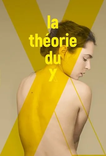 Póster de la serie La théorie du Y
