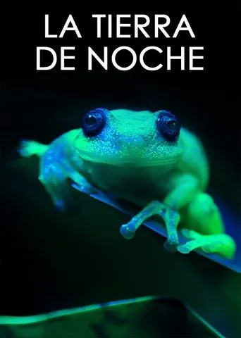 Póster de la serie La Tierra de noche