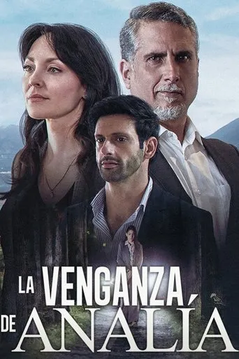 Póster de la serie La venganza de Analía