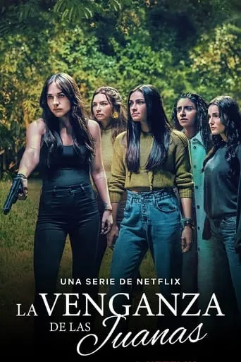 Póster de la serie La venganza de las Juanas