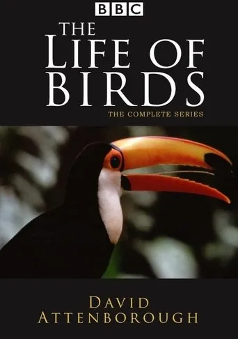 Póster de la serie La Vida de las Aves
